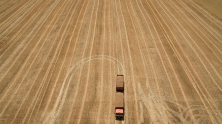 Different fields view from aboveの写真素材