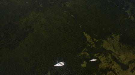 Beautiful picture taken from the top.の写真素材