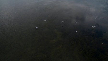 Beautiful picture taken from the top.の写真素材