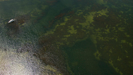 Beautiful picture taken from the top.の写真素材