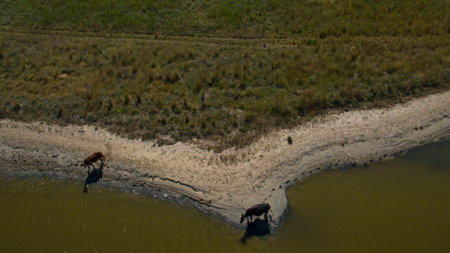 Beautiful picture taken from the top.の写真素材