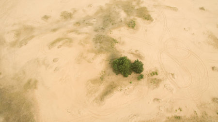Beautiful landscape of sandy desert aerial photographyの写真素材
