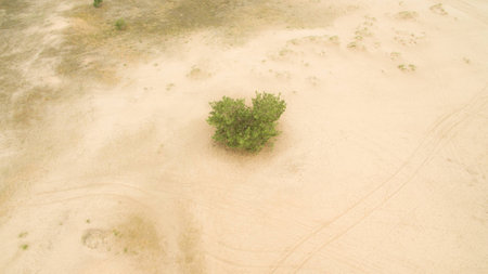Beautiful landscape of sandy desert aerial photographyの写真素材