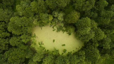 Beautiful landscape shooting from a heightの写真素材