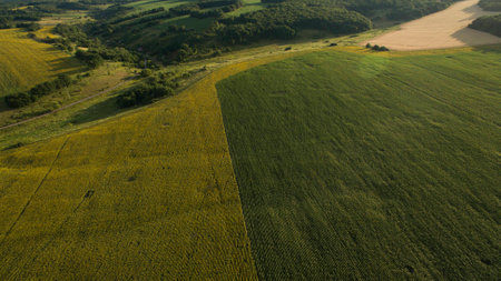 Beautiful picture taken from the top.の写真素材