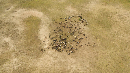 Beautiful landscape shooting from a heightの写真素材