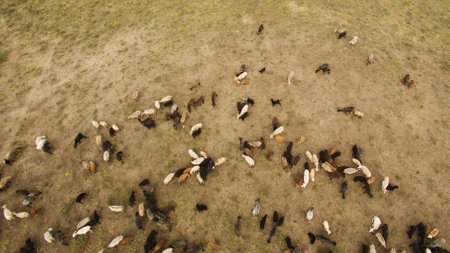 Beautiful landscape shooting from a heightの写真素材