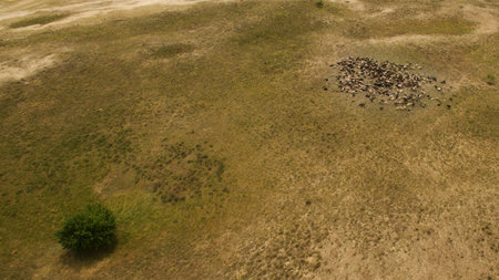 Beautiful landscape shooting from a heightの写真素材