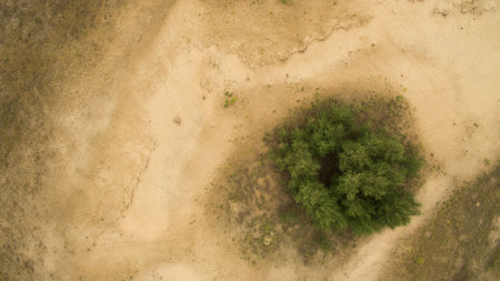 Beautiful landscape of sandy desert aerial photographyの写真素材