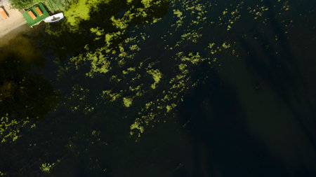 Beautiful picture taken from the top.の写真素材