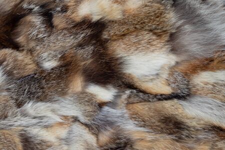 fur coat from pieces of fur of different animals as a backgroundの写真素材