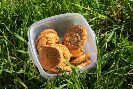 homemade cookie lies in a plastic box on green grass outdoorsの写真素材