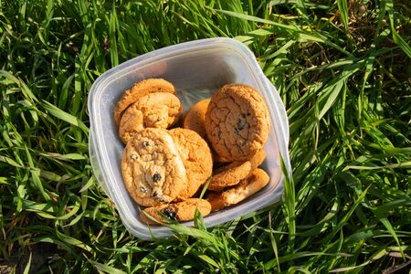 homemade cookie lies in a plastic box on green grass outdoorsの写真素材