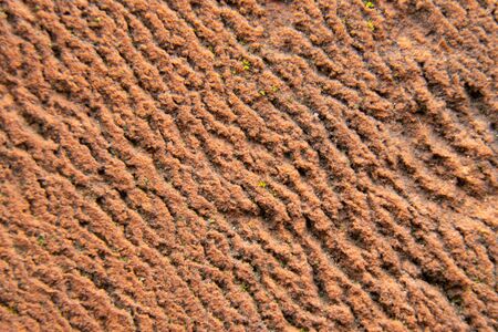 background of old brick on the streetの写真素材