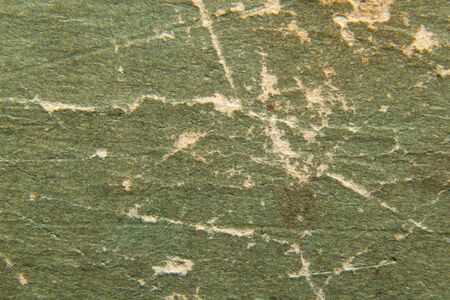 green background of old paper closeupの写真素材