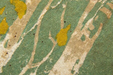 green background of old paper closeupの写真素材