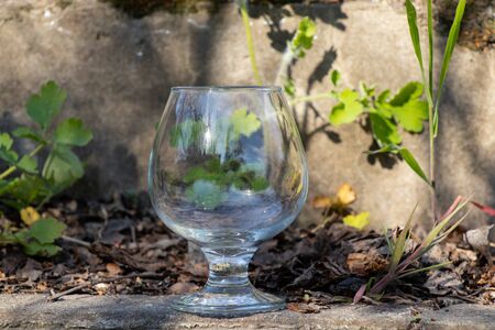 an empty transparent glass goblet stands on the groundの写真素材