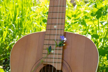 wooden brown guitar lies on the grass in spring in the sunの写真素材