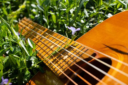 wooden brown guitar lies on the grass in spring in the sunの写真素材
