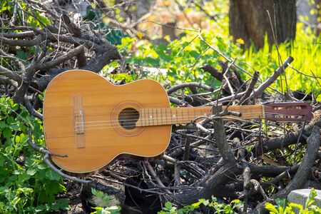 wooden brown guitar lies on a stone road in the street in the spring grassの写真素材