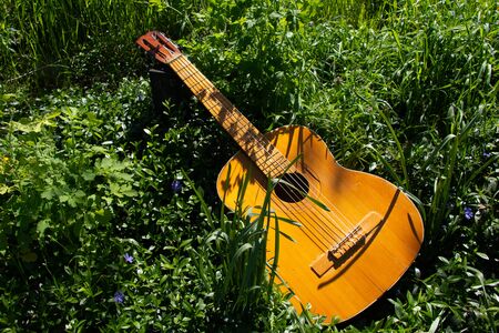 wooden brown guitar lies in wildflowers in spring in Ukraine