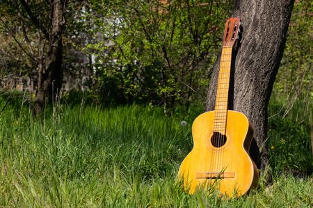 wooden brown guitar lies in wildflowers in spring in Ukraineの写真素材