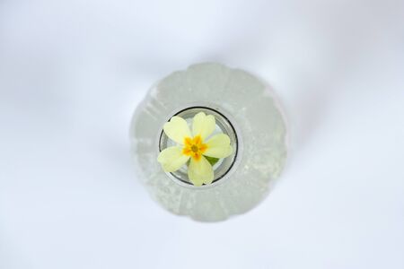 small flower in bottles top view on a blurred backgroundの写真素材