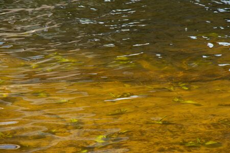 river as a background in the afternoon sun