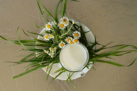 glass of milk and wild daisies on a table in the morningの写真素材