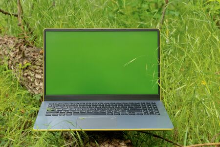 gray laptop in the forest on the grass in the spring in the afternoonの写真素材