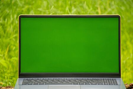 gray laptop in the forest on the grass in the spring in the afternoonの写真素材