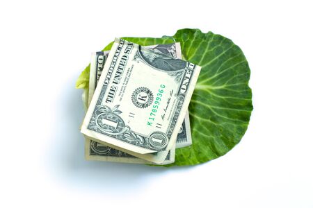 fresh green head of cabbage and one american dollar in it on a white backgroundの写真素材
