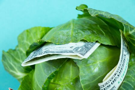 fresh green head of cabbage and one american dollar closeupの写真素材
