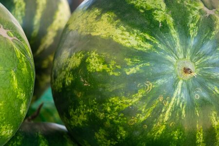 watermelons on a summer day marketの写真素材