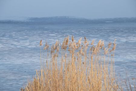river Dnieper forest on a sunny winter day melting iceの写真素材