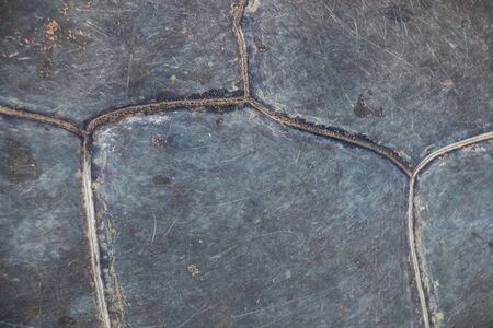 tortoise shell as a backgroundの写真素材