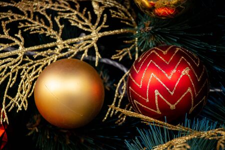 Christmas elegant tree in a park in the city of Dnieperの写真素材