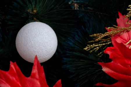 Christmas elegant tree in a park in the city of Dnieperの写真素材