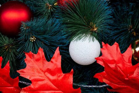 Christmas elegant tree in a park in the city of Dnieperの写真素材