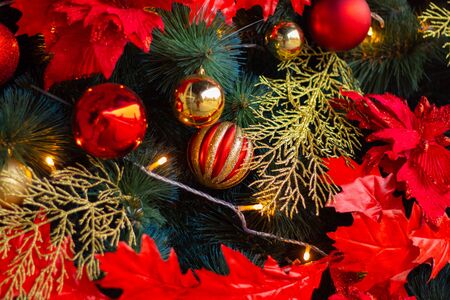 Christmas tree on the street as a backgroundの写真素材