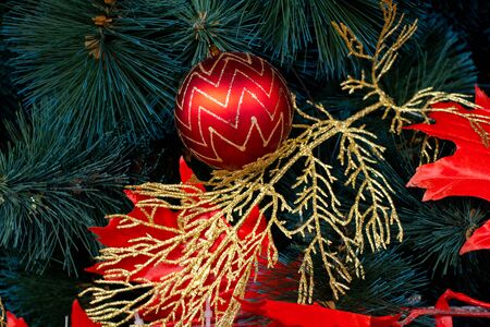 Christmas elegant tree in a park in the city of Dnieperの写真素材
