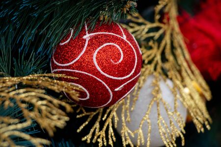 Christmas elegant tree in a park in the city of Dnieperの写真素材