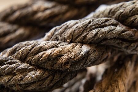 boat torn rope macro photo on isolated backgroundの写真素材