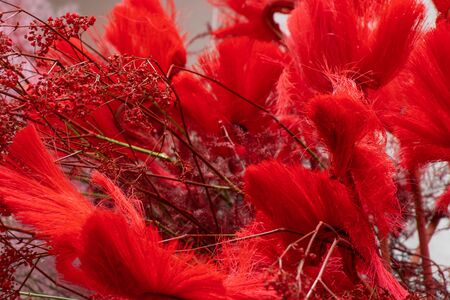 red dry decorative flowers close-upの写真素材