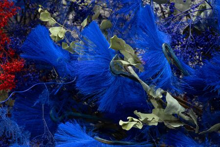 blue dry decorative flowers close-upの写真素材