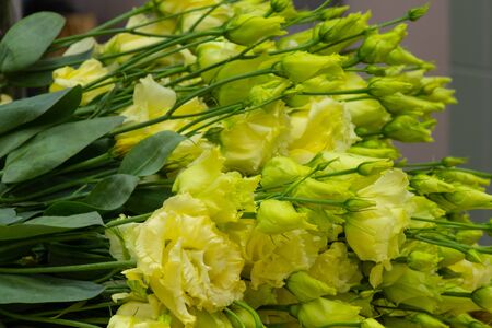a bouquet of lisianthus flowers lies on the tableの写真素材
