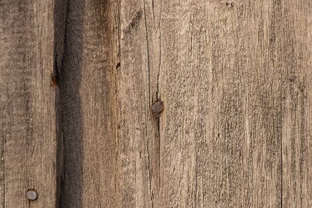 background of a wooden old board closeup in the afternoonの写真素材