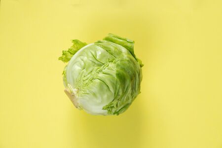 green cabbage on an isolated color backgroundの写真素材
