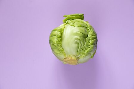 green cabbage on an isolated color backgroundの写真素材
