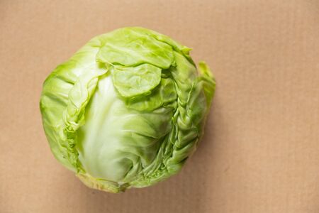 green cabbage on an isolated color backgroundの写真素材